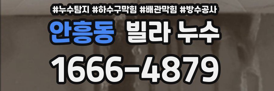 안흥동 빌라 누수