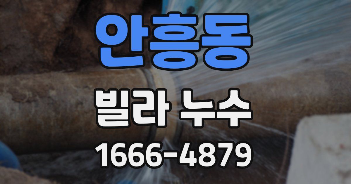 안흥동 빌라 누수