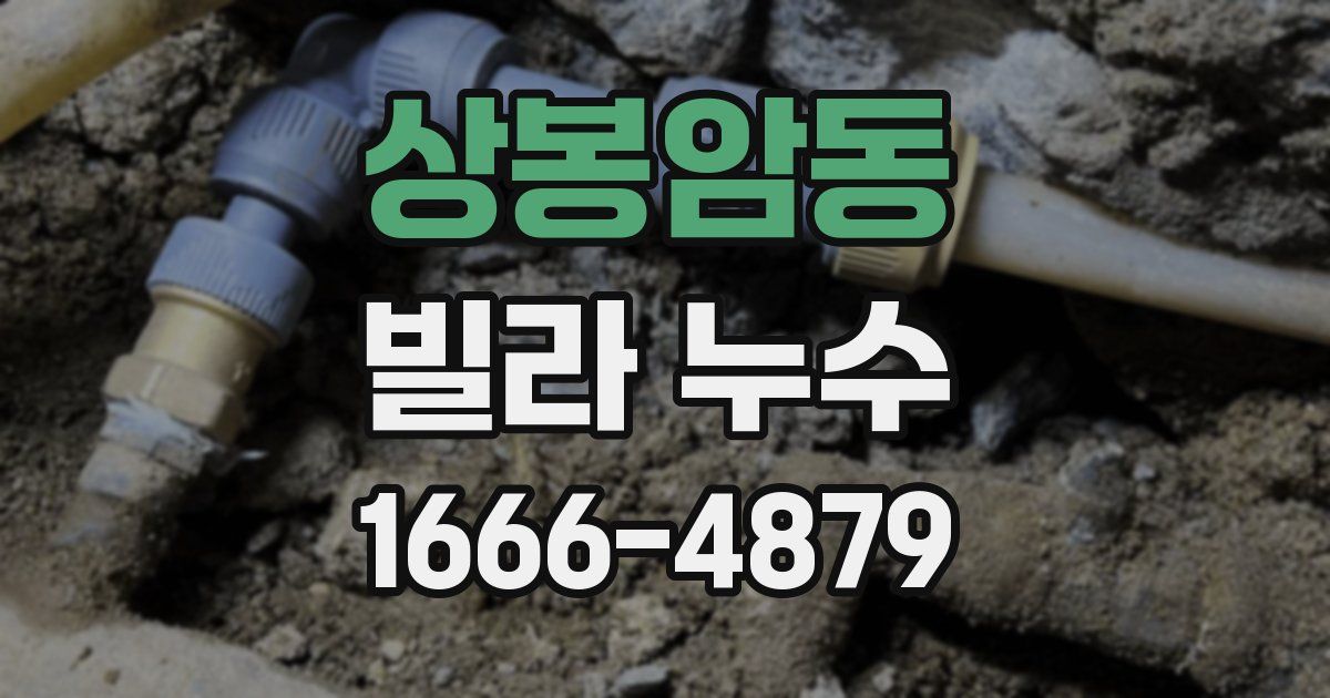상봉암동 빌라 누수