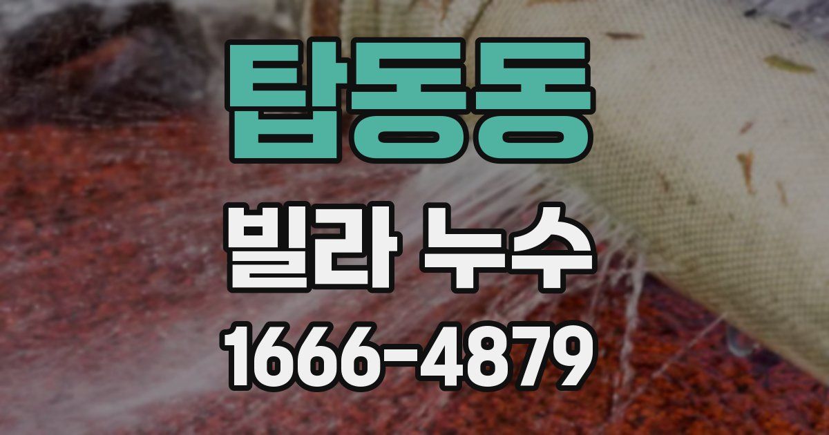 탑동동 빌라 누수