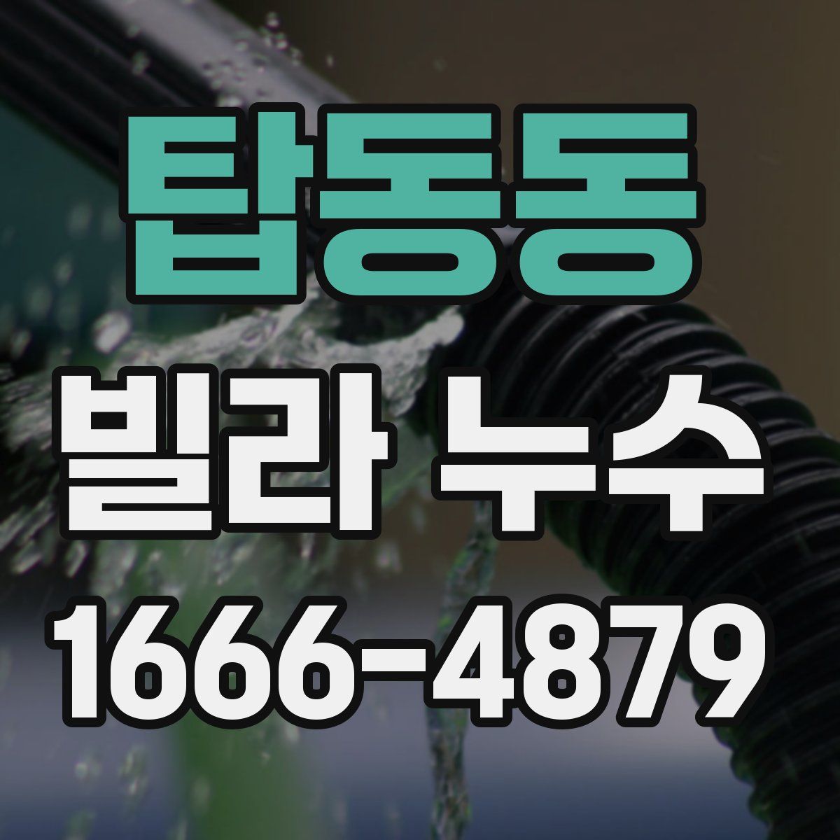 탑동동 빌라 누수