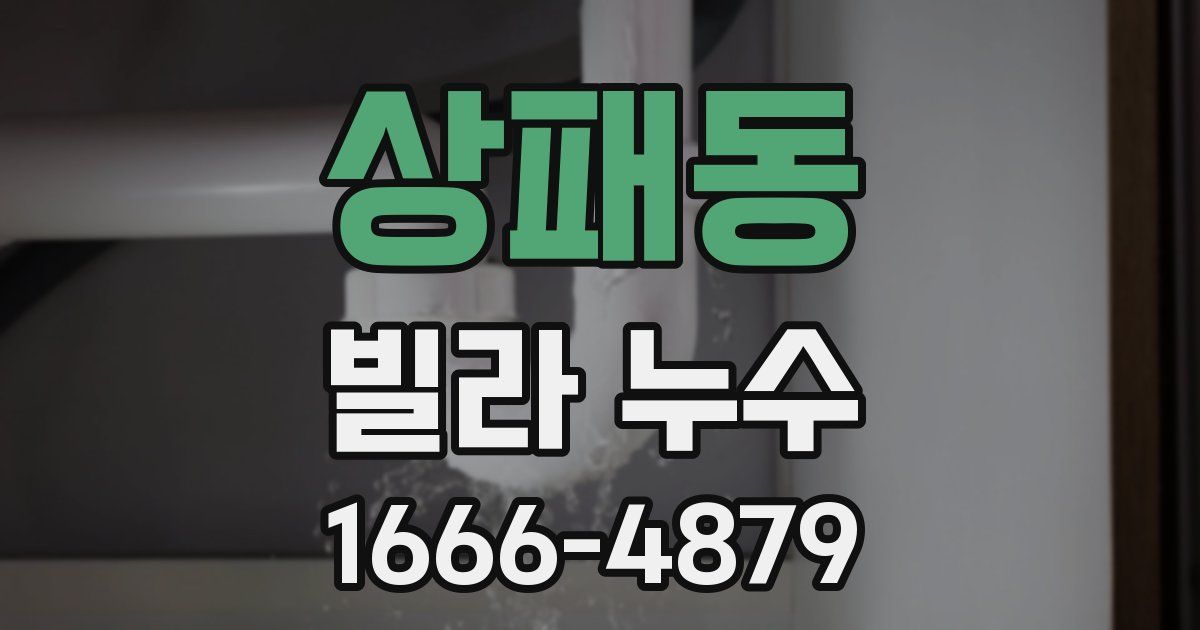 상패동 빌라 누수