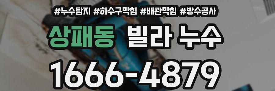 상패동 빌라 누수