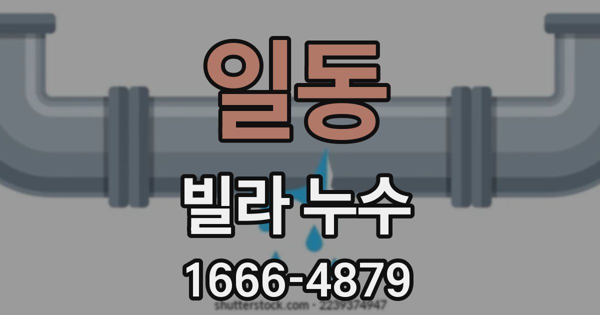 일동 빌라 누수