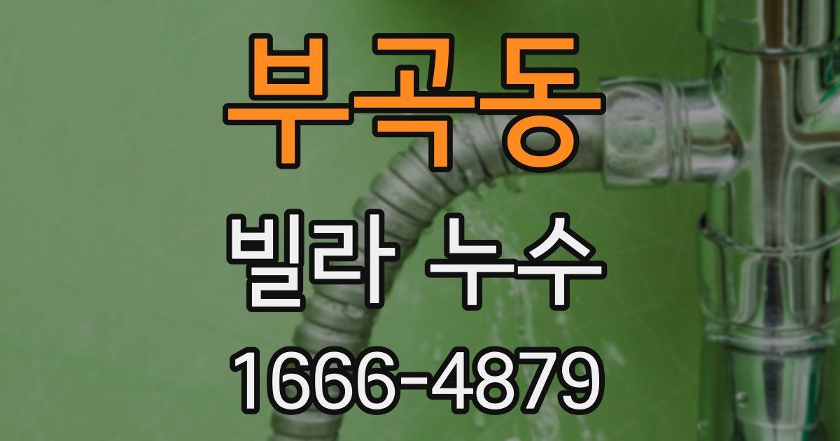 부곡동 빌라 누수