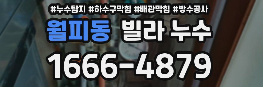 월피동 빌라 누수