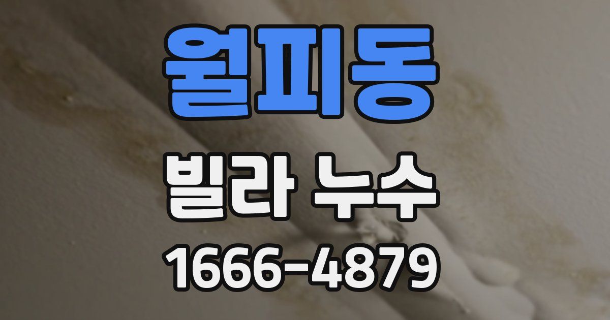 월피동 빌라 누수