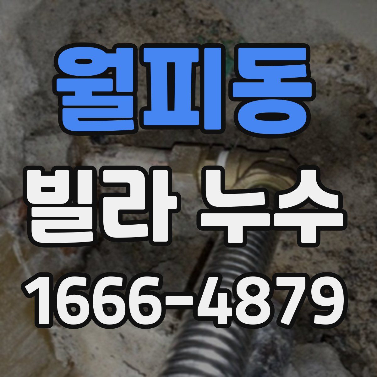 월피동 빌라 누수