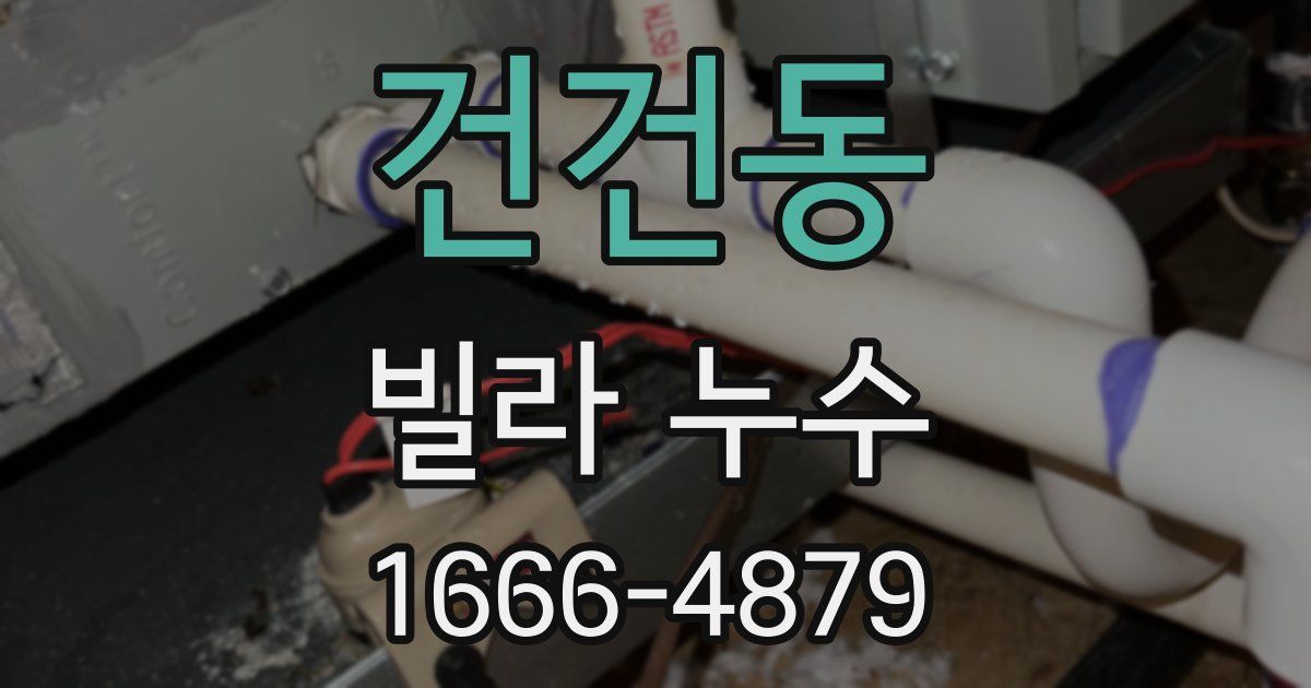 건건동 빌라 누수