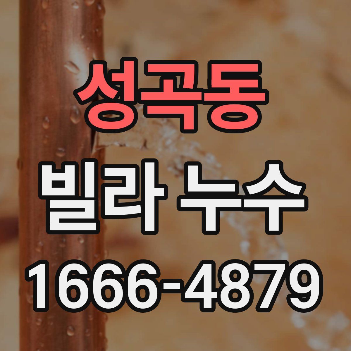 성곡동 빌라 누수
