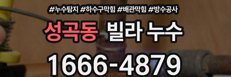 성곡동 빌라 누수