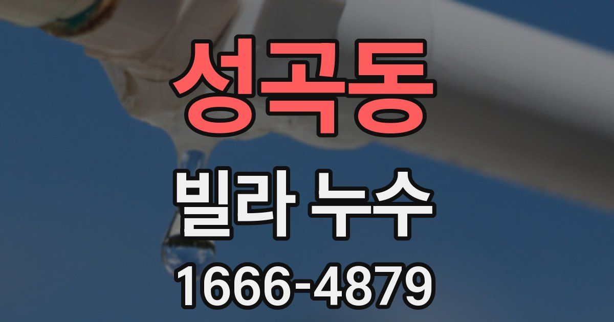 성곡동 빌라 누수