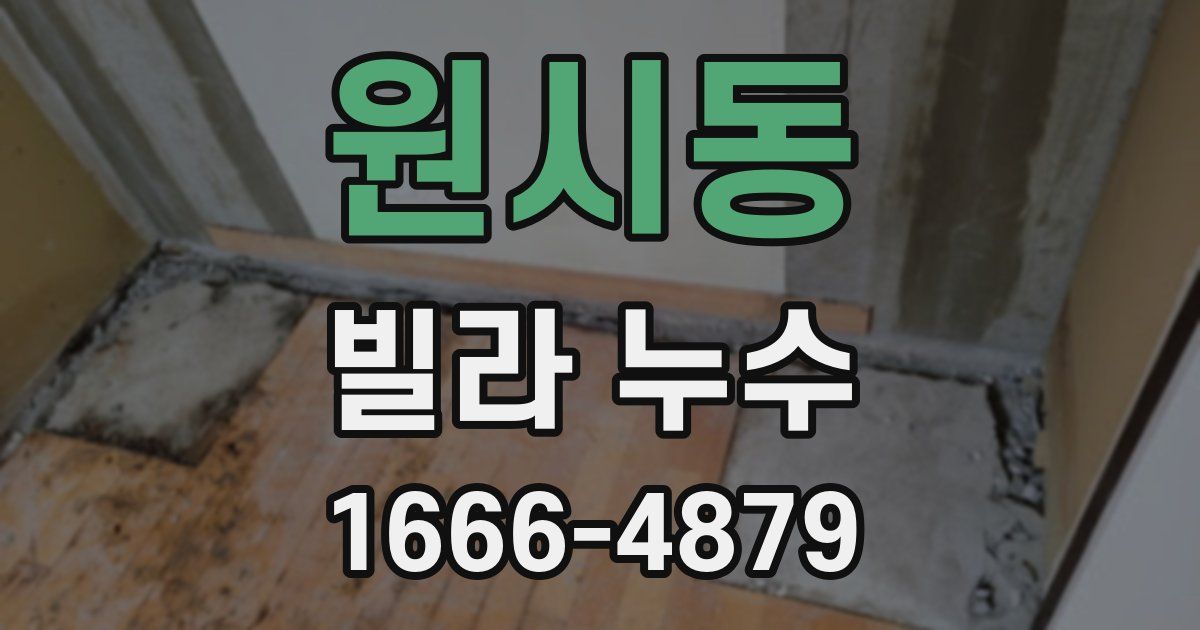 원시동 빌라 누수