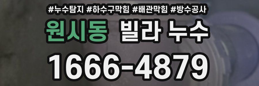 원시동 빌라 누수