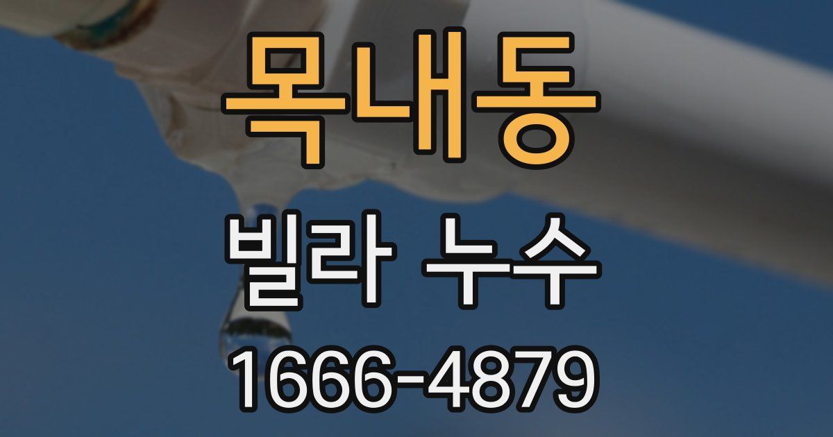 목내동 빌라 누수