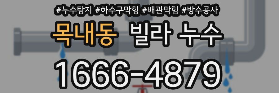 목내동 빌라 누수