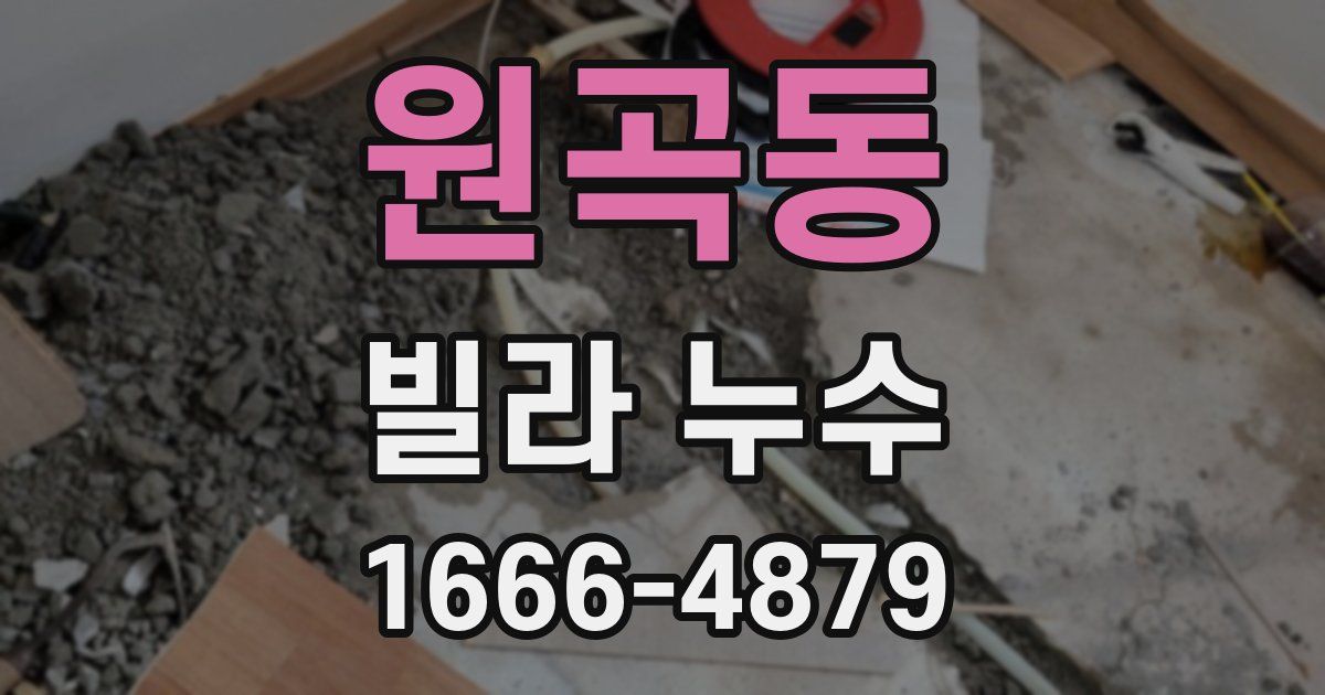원곡동 빌라 누수