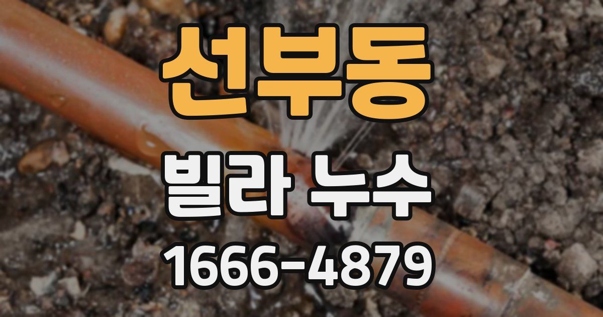 선부동 빌라 누수