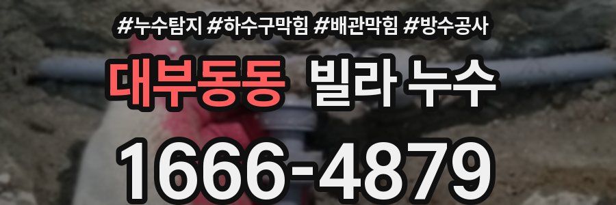 대부동동 빌라 누수