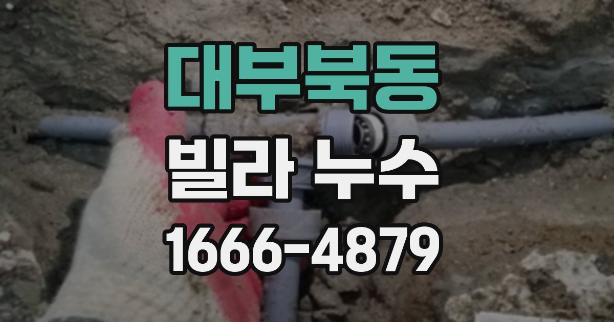 대부북동 빌라 누수