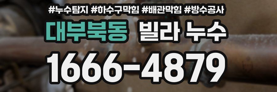 대부북동 빌라 누수