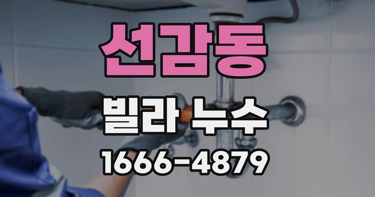 선감동 빌라 누수