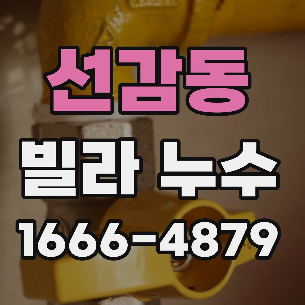 선감동 빌라 누수