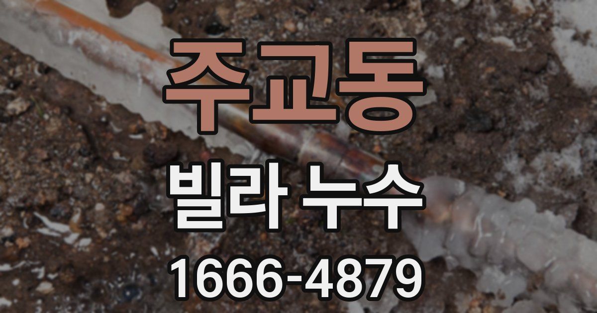 주교동 빌라 누수