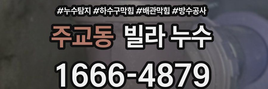 주교동 빌라 누수