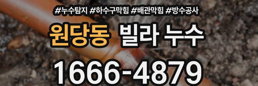 원당동 빌라 누수