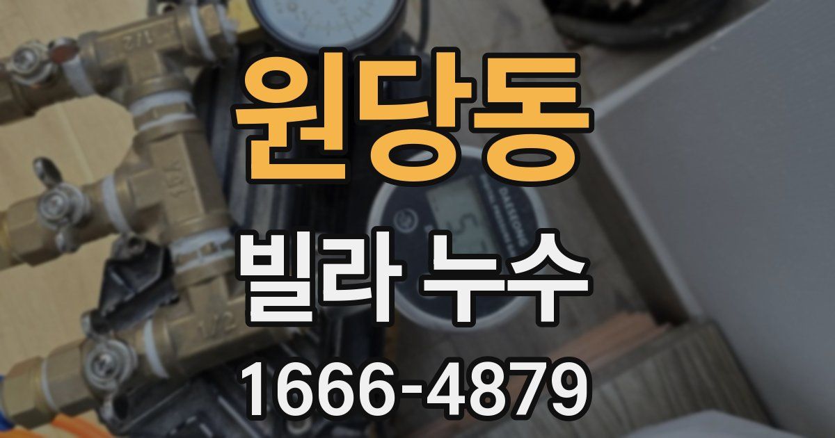 원당동 빌라 누수