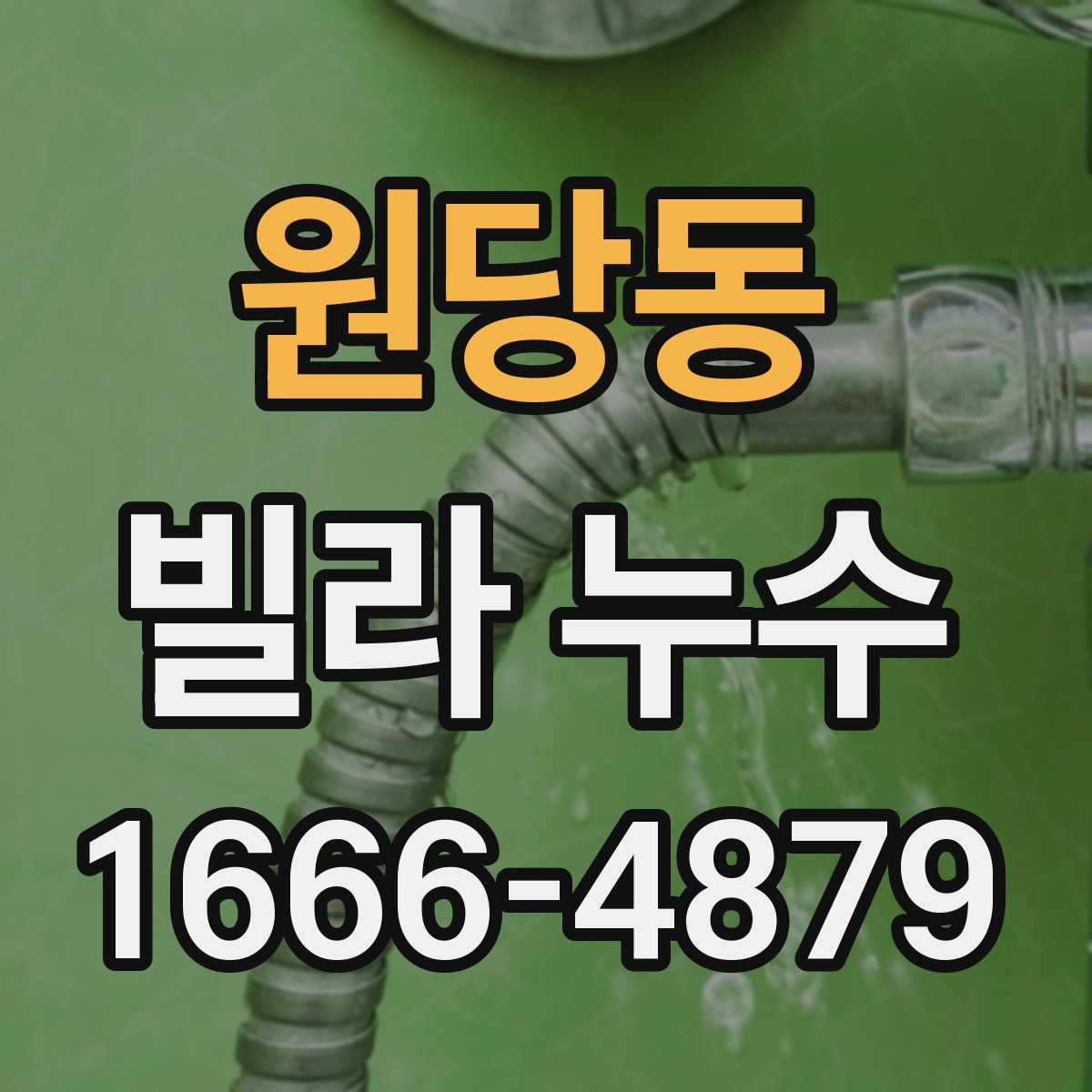 원당동 빌라 누수
