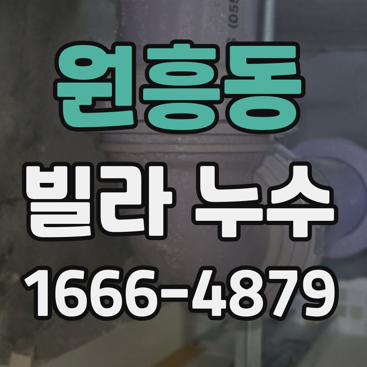 원흥동 빌라 누수