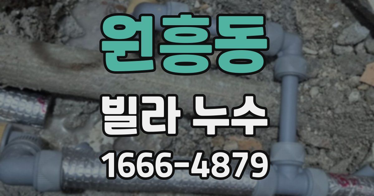 원흥동 빌라 누수