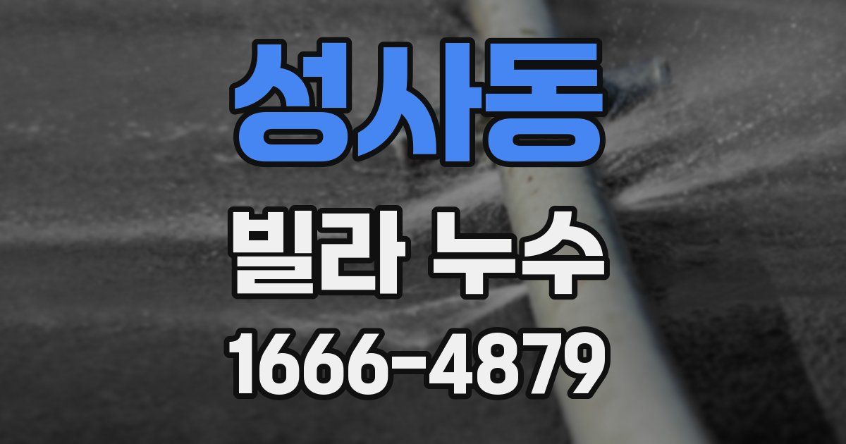 성사동 빌라 누수