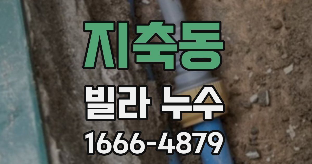 지축동 빌라 누수