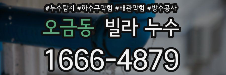 오금동 빌라 누수