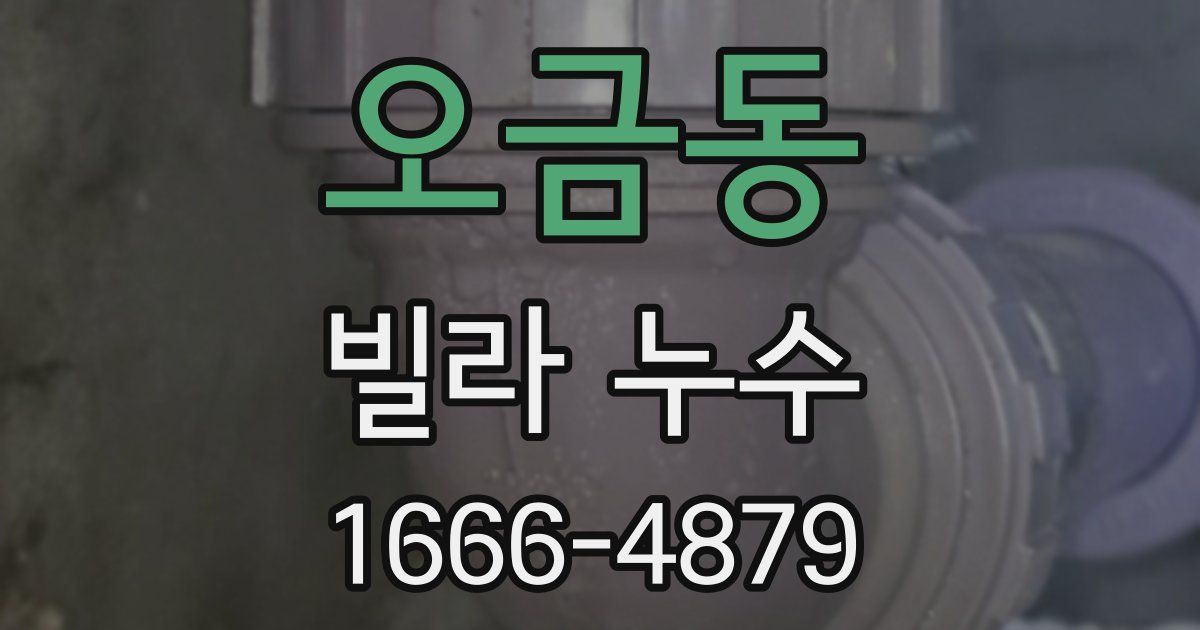 오금동 빌라 누수