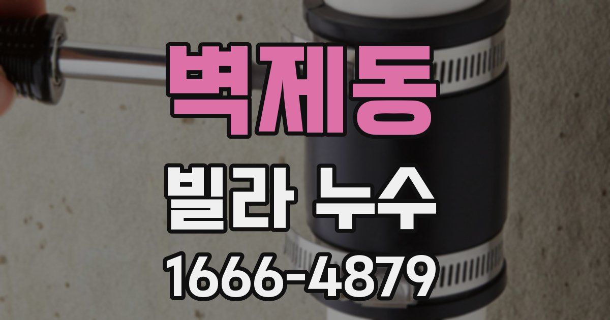 벽제동 빌라 누수