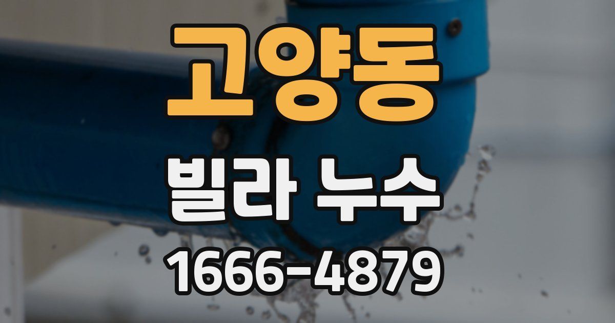 고양동 빌라 누수