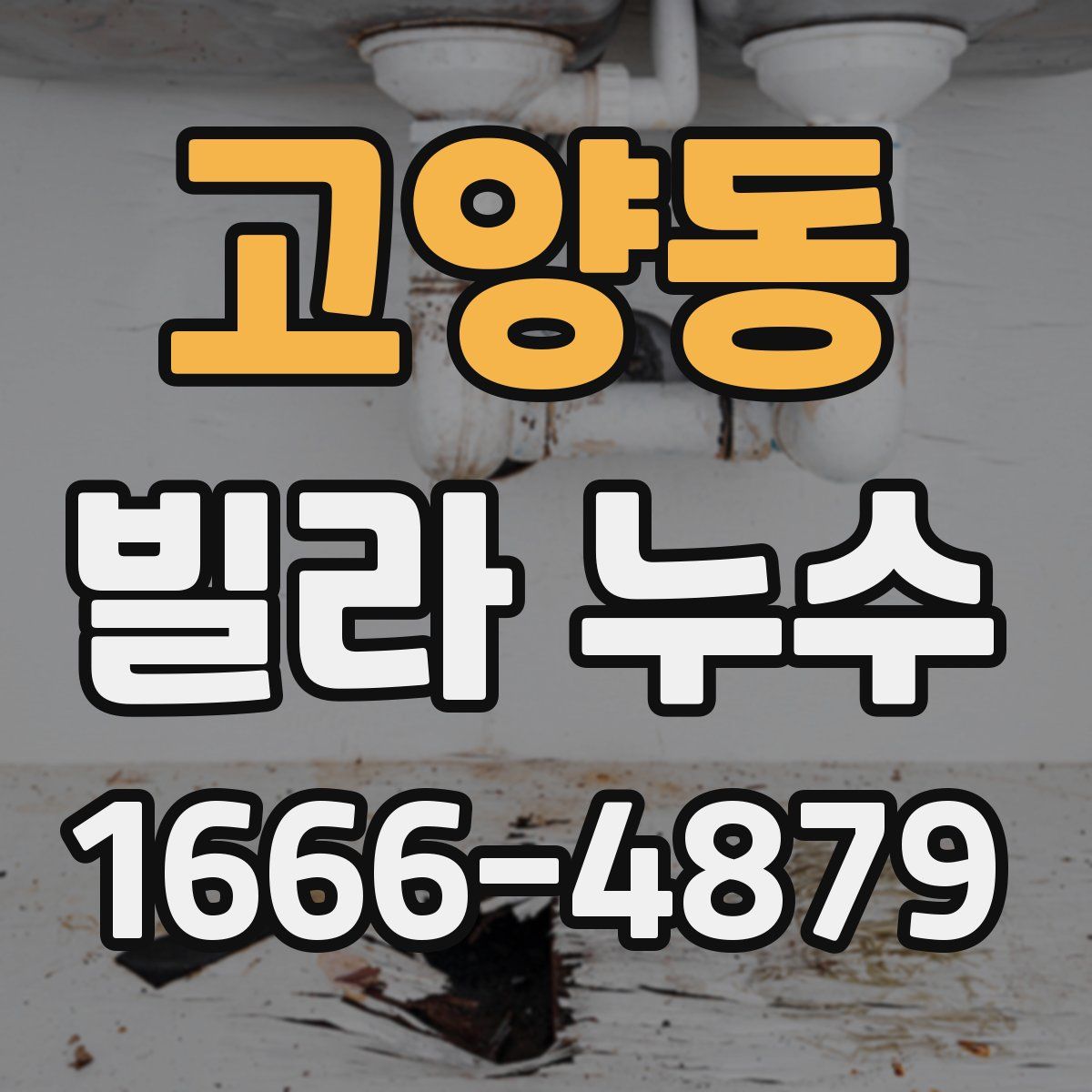 고양동 빌라 누수