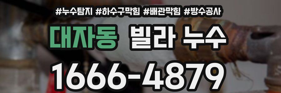 대자동 빌라 누수