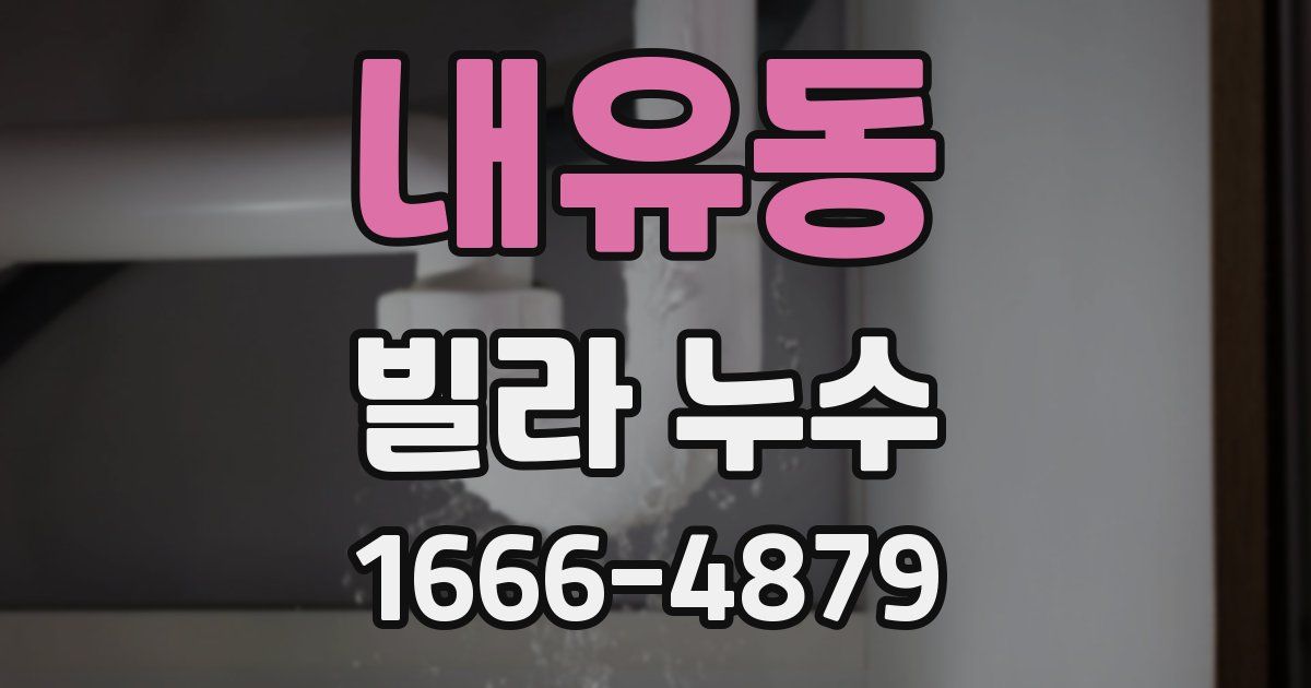 내유동 빌라 누수