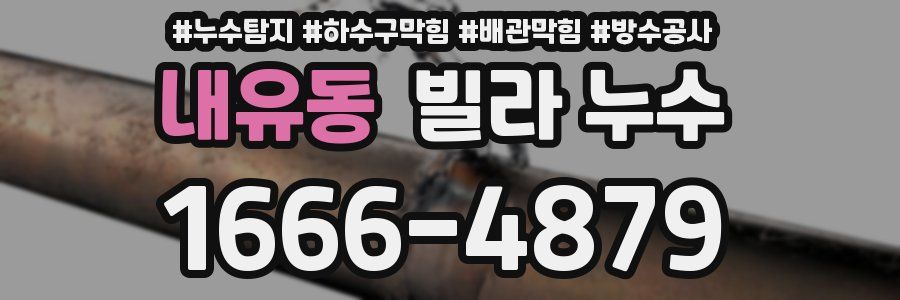 내유동 빌라 누수