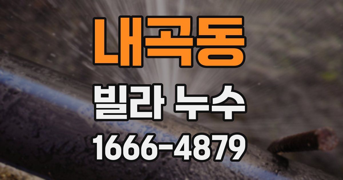 내곡동 빌라 누수