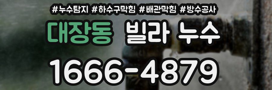 대장동 빌라 누수