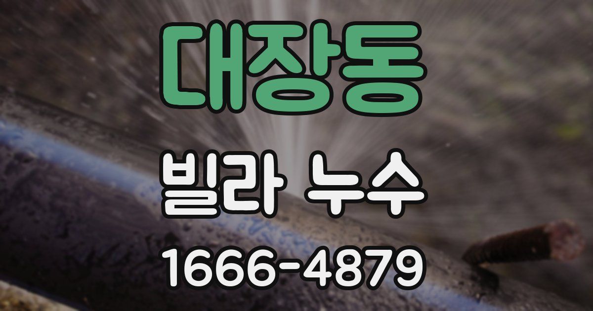 대장동 빌라 누수