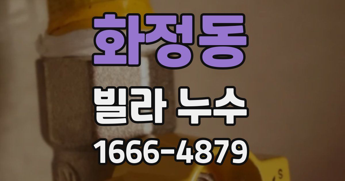 화정동 빌라 누수