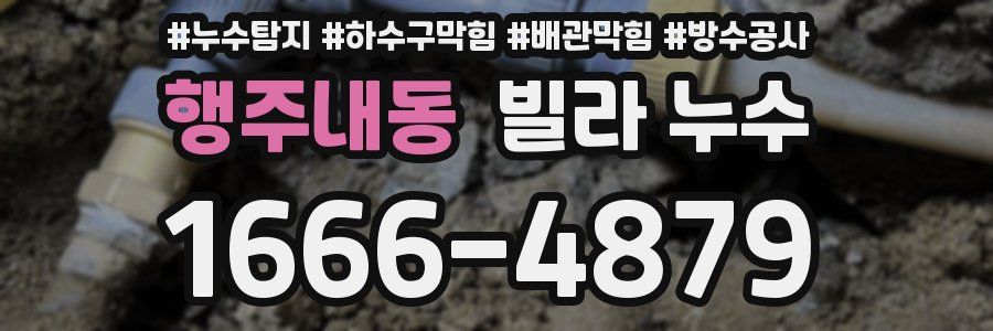 행주내동 빌라 누수