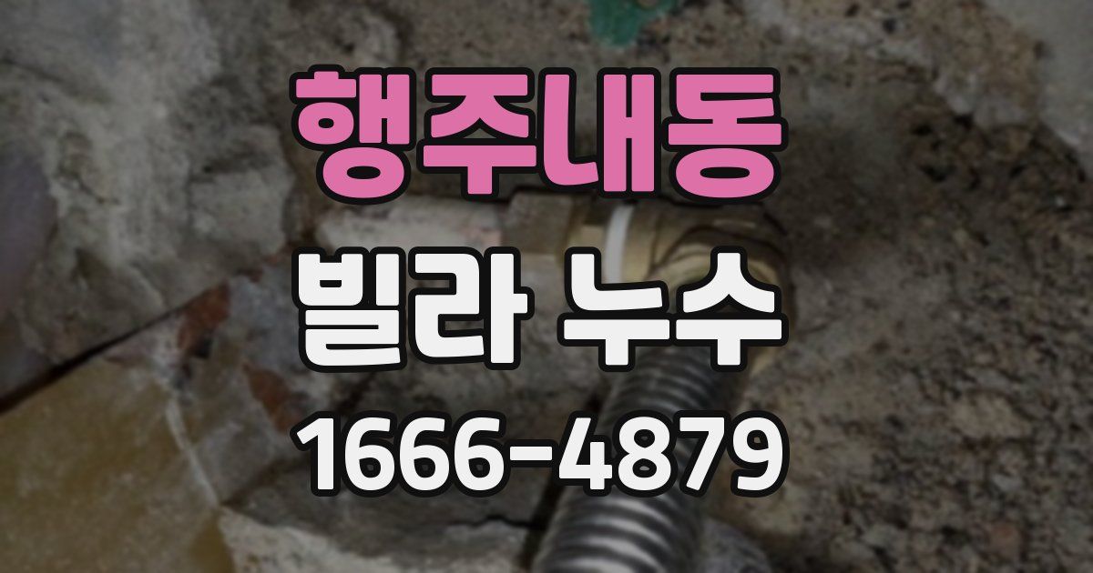 행주내동 빌라 누수
